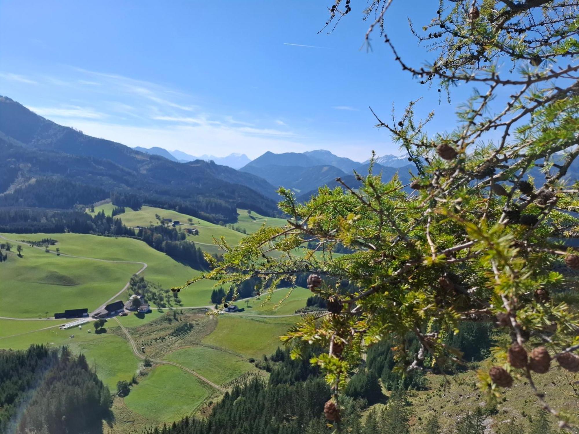 Bauernhof Ablass Goestling an der Ybbs Exterior photo