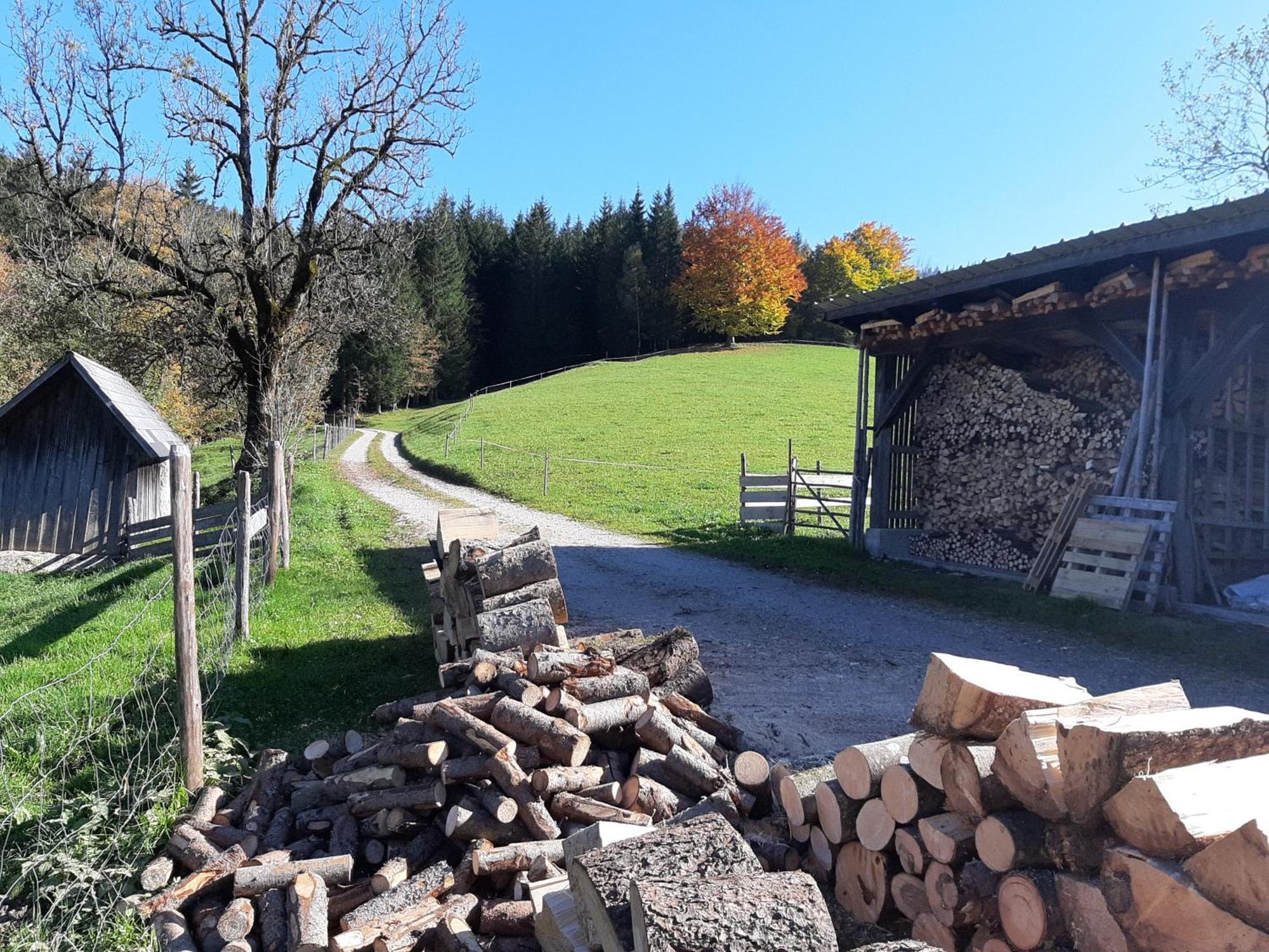 Bauernhof Ablass Goestling an der Ybbs Exterior photo