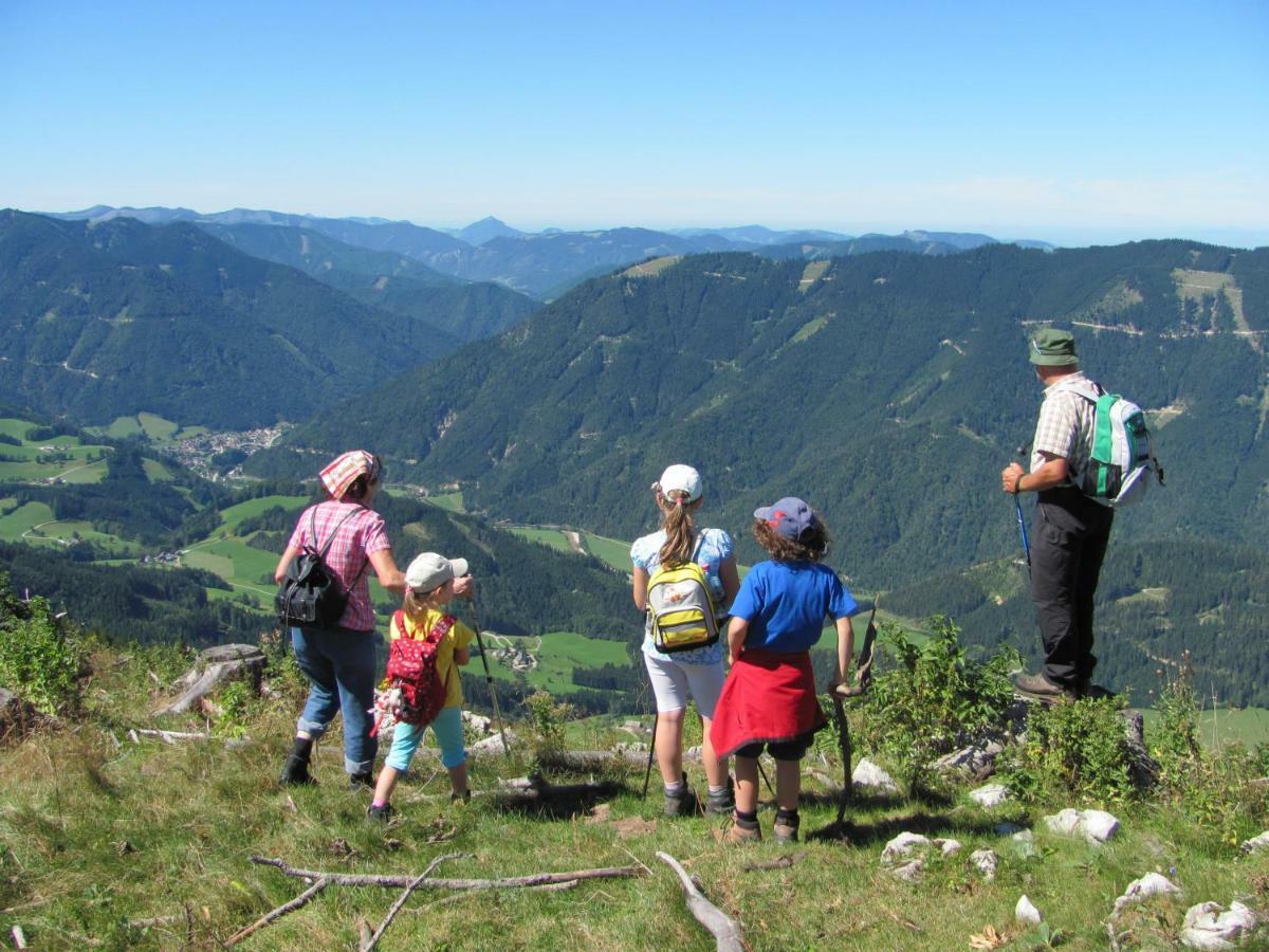 Bauernhof Ablass Goestling an der Ybbs Exterior photo