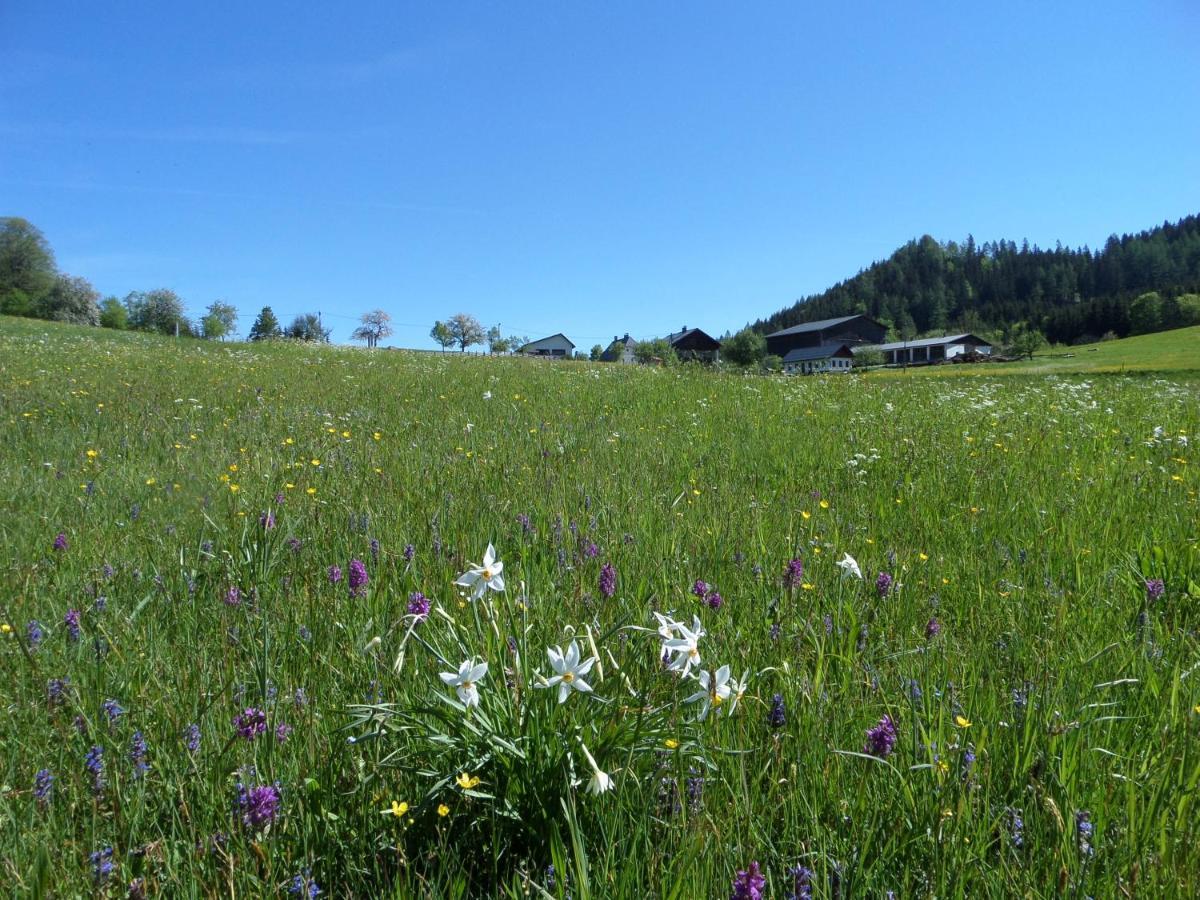 Bauernhof Ablass Goestling an der Ybbs Exterior photo